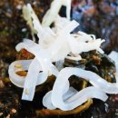 김명태(광명점) 이미지