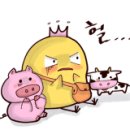 해피카크리닝