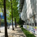 존스킨한의원 | 안양사춘기여드름, 학생들의 고민도 해결하는 존스킨한의원 안양점