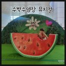 기획공연-뮤지컬 수박수영장 | 방학 어린이 공연 추천 아이랑 수박수영장 뮤지컬 관람 후기