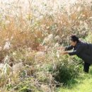 한양목장 이미지