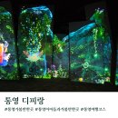 동호동 320-1 동피랑입구(중앙시장방면) | 통영 가볼만한곳 추천코스 디피랑 주차 할인