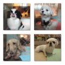 마린동물병원 이미지