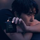 향기의인상 티스토리