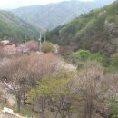 매봉산장 이미지
