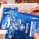 최고수산 | 내돈내산 자숙홍게 택배 최고다농수산 구매 후기 🦀 (집에서 홍게 찌는 법)