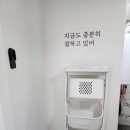 스테이소뇨