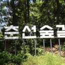 경춘선숲길 방문자센터 이미지