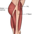 번 피트니스 이미지
