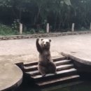 드루와드루와 이미지