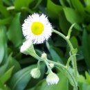 (주)주안시범공단 네이버블로그