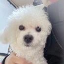 몽실멍실 네이버블로그