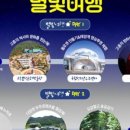 대원항공여행사 이미지