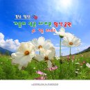 황산공원 이미지