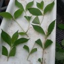 목원농원 이미지