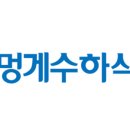 부산멍게 이미지