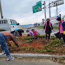 세영의원 이미지