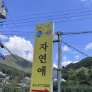 자연애 | [팔당] 대기업 회장님 맛집 자연애 다녀온 후기