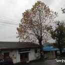 대룡마을회관 이미지