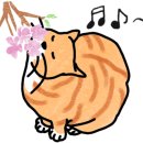 우리술당당 서울숲점
