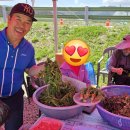 장안산 봄나물 축제 이미지