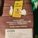 인천청라중학교 | 청라데이트 장소 추천 배달도 포장도 모두 가능한 티에이지실내캠핑장 인천청라점
