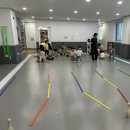 창원한백유아태권도장 이미지