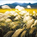 사랑은 펜션 이미지