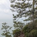 숲속마을 태양광발전소 | 여수의 꽃섬 하화도