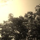 빛과 그림자 이미지