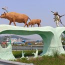 금송식육식당 이미지