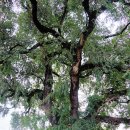 송생리 경로당 이미지