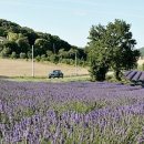 이영화농장 이미지