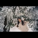 하루방비디오 | [2023년 제주도 여행] 눈의 왕국 천백고지❄