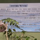 자신담한정식 이미지