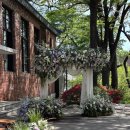 자작&white 이미지