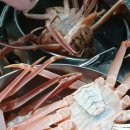 블루오션펜션 이미지