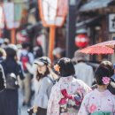 자작나무호텔 이미지