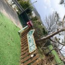 애견펜션 돌봄 | 태안돌봄펜션/태안돌봄애견펜션후기