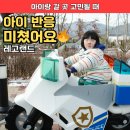 호텔아이 | 레고랜드 호텔 후기｜아이 반응 보고 놀랐어요