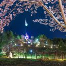 동해시-5 이미지