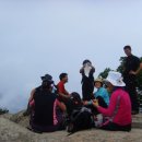 세림항공여행사
