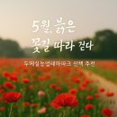 [진주 가볼만한곳] 두메실농업테마파크 양귀비꽃밭, 5월 무료 개방 중! 산책코스·주차·포토존 총정리