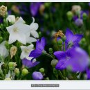 통일여인숙 이미지