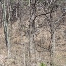 경진카센타 이미지