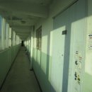 신창면 서부북로 이미지