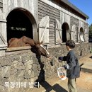 서우목장 | 제주도 서귀포 카페 아이랑 체험 갈만한곳, 목장카페 밭디