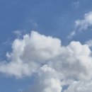 서초대로1길 19-5_ 이미지