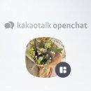 방배천로20길 1 이미지