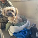 모글리하우스 이미지